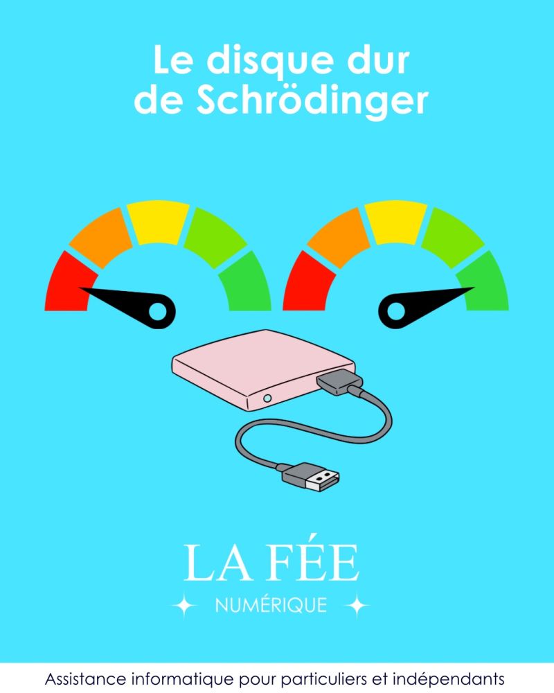 Dessin d'un disque dur externe avec au dessus deux jaunes : l'une au minimum, l'autre au maximum. Au dessus est écrit "Le disque dur de Schrödinger"
